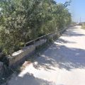Medio Ambiente solicita permiso a la Junta de Andalucía para reasfaltar el tramo de la Colada de Chapitel que da acceso a la playa