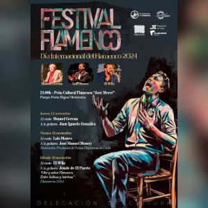 Ayuntamiento, Diputación y Peña José Mercé se unen para conmemorar el Día Internacional del Flamenco con un festival