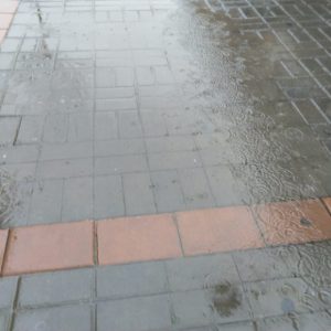 Las últimas lluvias han mejorado significativamente la situación de los pantanos de la provincia de Cádiz