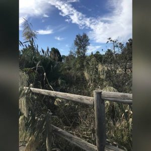 El CANS reclama que se limpie el canal de Chapitel para que no haya inundaciones