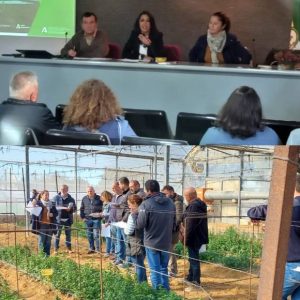 La Junta presenta en Chipiona los resultados preliminares de sus ensayos sobre desinfestación del suelo en hortícolas y flor cortada