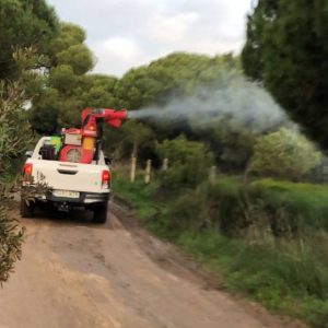 La Junta de Andalucía está fumigando para combatir la procesionaria en el pinar de Chipiona