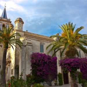 La parroquia Nuestra Señora de la O de Chipiona organiza para este domingo la bendición de las mascotas por San Antón