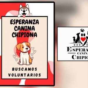 Esperanza Canina realiza un llamamiento urgente para solicitar colaboración de voluntarios