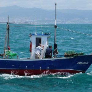 La Junta de Andalucía oferta más de 10.000 horas de formación gratuita en pesca a través del Ifapa para 2025