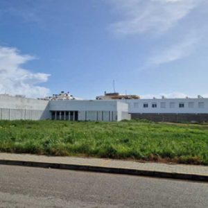 La Junta de Andalucía publica la licitación del proyecto para la construcción del nuevo centro de Primaria del colegio Los Argonautas